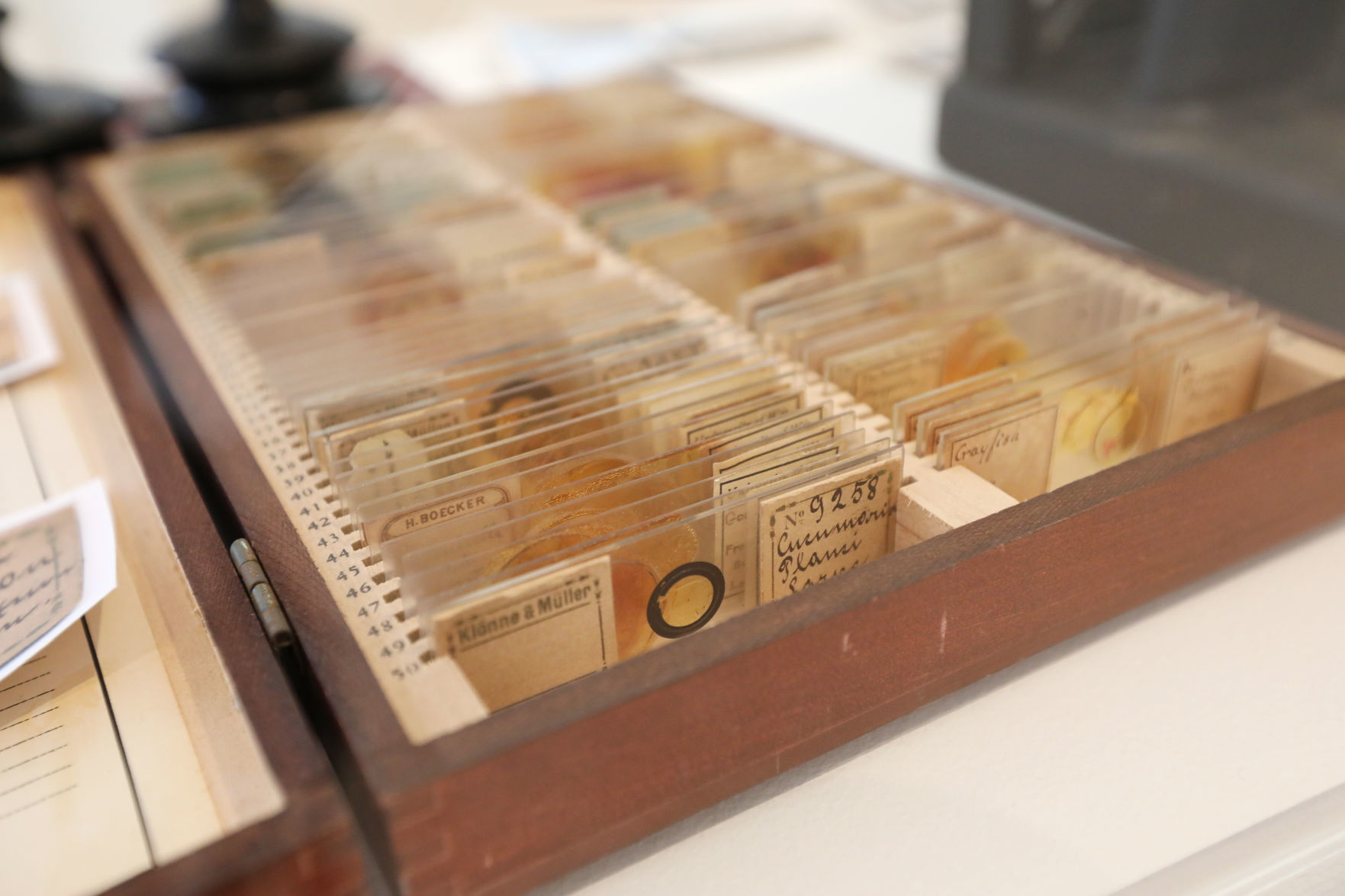 150 years of the Wisconsin Academy of Sciences, Arts & Letters